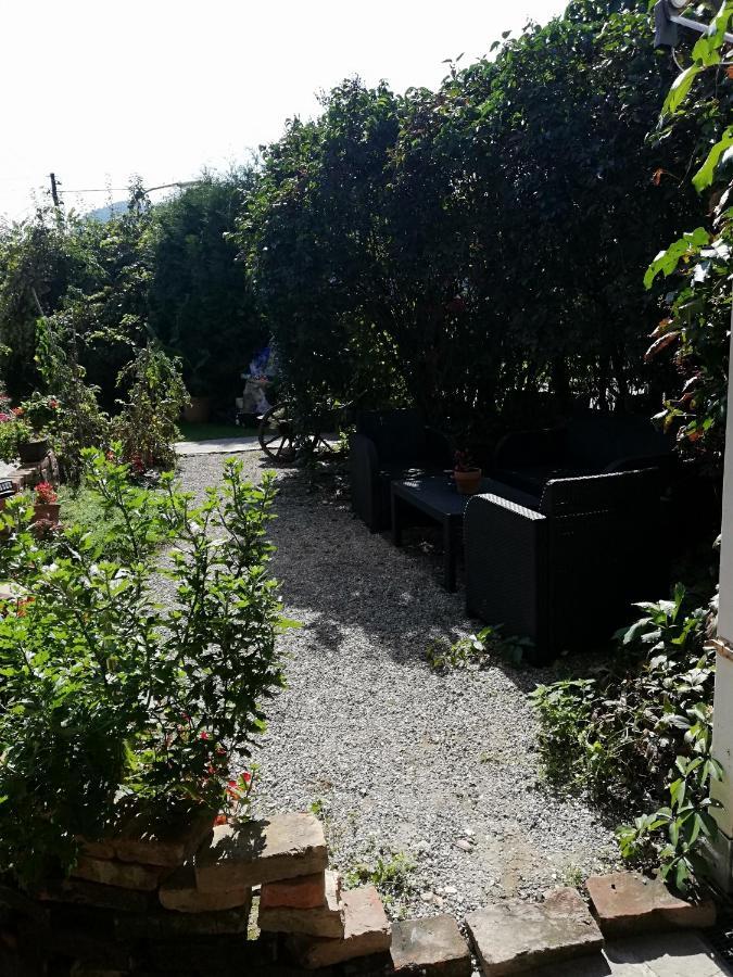 Haus Daniela Daire Klagenfurt am Woerthersee Dış mekan fotoğraf